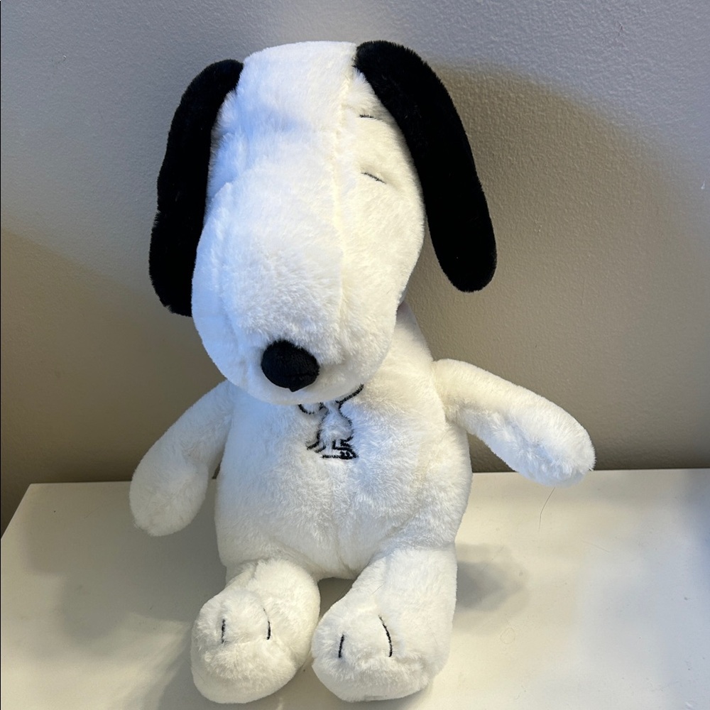 Sleepy snoopy